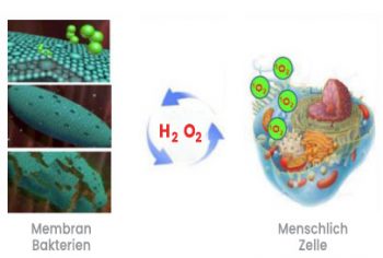3.4. Grafika Celice - DE